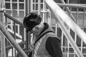 Professional for German car spare parts and online programming