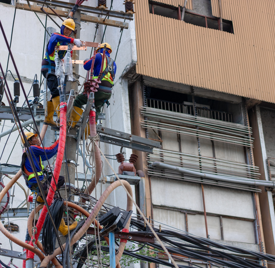 Professional for German car spare parts and online programming